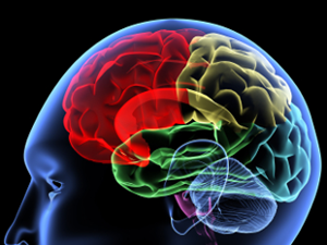 Az agydaganat első tünetei, stádiumai és kezelése - Agyvelőgyulladás