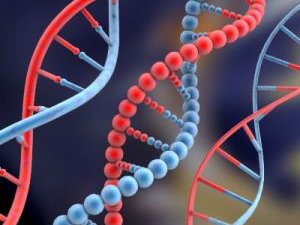 genetikai rák gyógyszer célpontok zentel felnőtt pinworms