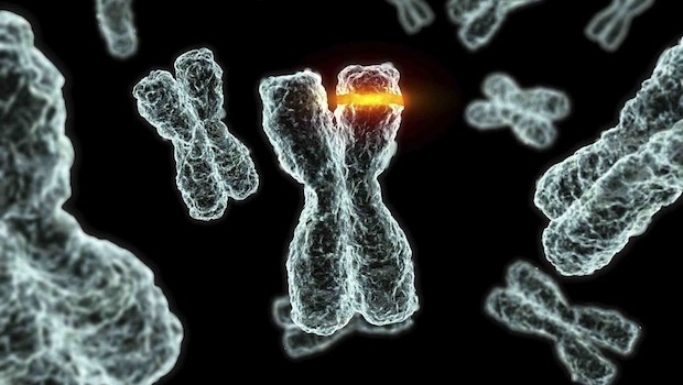 genetikai mutációkat okozó rák