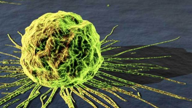 rákos sejtek és egészséges anti aging