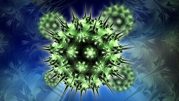 humán papillomavírus fertőzés hatásmechanizmusa
