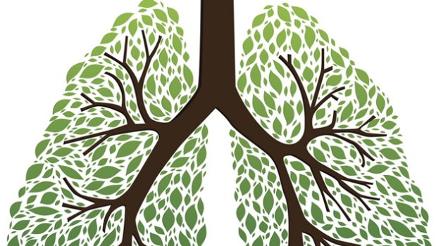 Erről ismerheti fel a tüdőrákot: 5 hétköznapi tünet, ami daganatra utal - EgészségKalauz