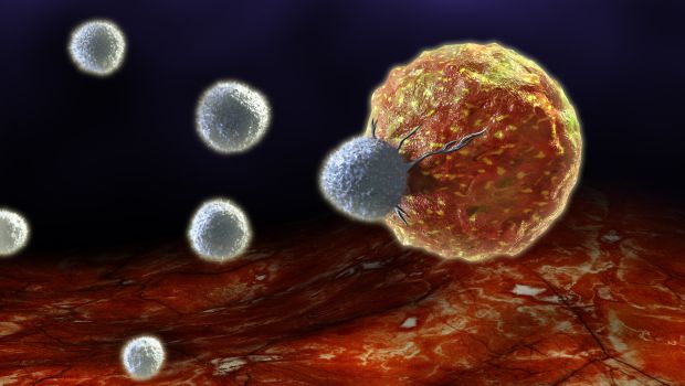 T-sejtek tmadnak meg egy daganatsejtet