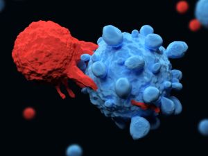 Molekuláris diagnosztika: mutációk a ráksejtekben