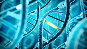NKFI-EPR:Teljes projekt lista Emberi papillomavírus genomika múltja és jövője