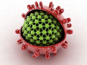 Májbetegségek | Lab Tests Online-HU