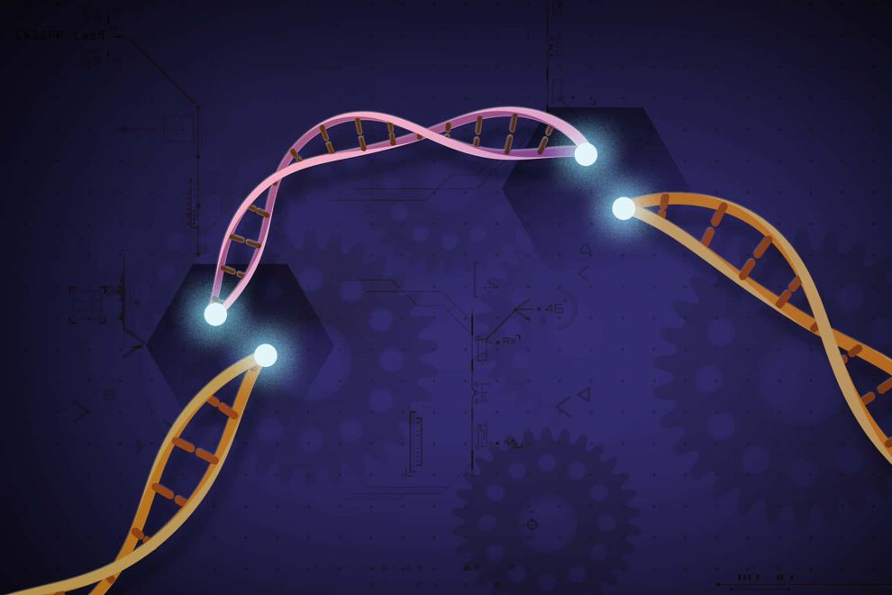 Első humán kísérlet a CRISPR-szerkesztett T-sejtekkel a rák személyre szabott kezelésére
